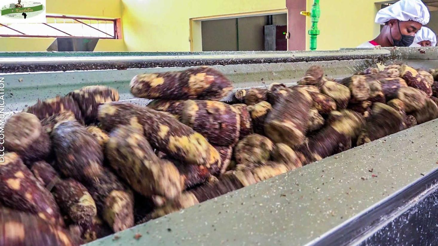 About KwaboBio img 20260110 wa0005